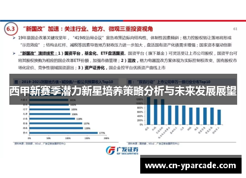 西甲新赛季潜力新星培养策略分析与未来发展展望