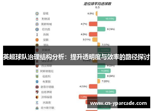 英超球队治理结构分析：提升透明度与效率的路径探讨