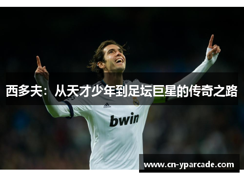 西多夫：从天才少年到足坛巨星的传奇之路