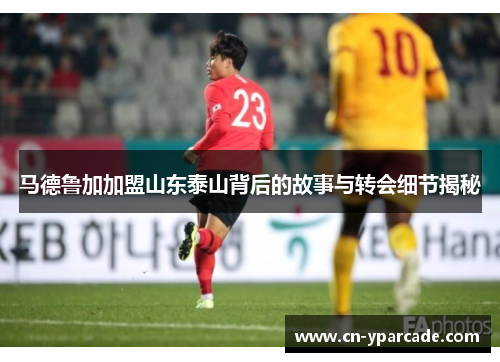 马德鲁加加盟山东泰山背后的故事与转会细节揭秘
