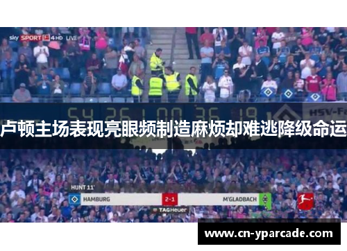 卢顿主场表现亮眼频制造麻烦却难逃降级命运