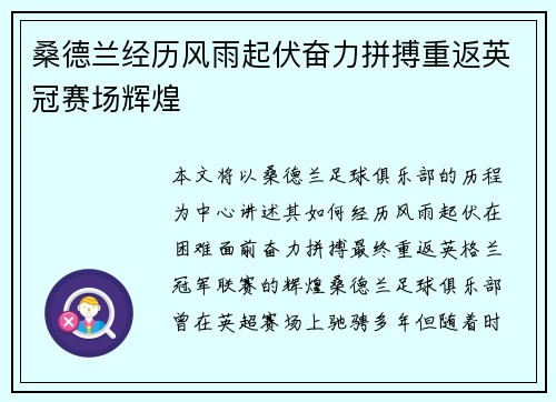 桑德兰经历风雨起伏奋力拼搏重返英冠赛场辉煌